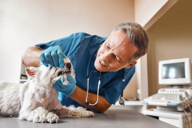 Best Emergency Wisdom Teeth Removal in Edmond, OK